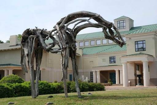 The Columbus Museum