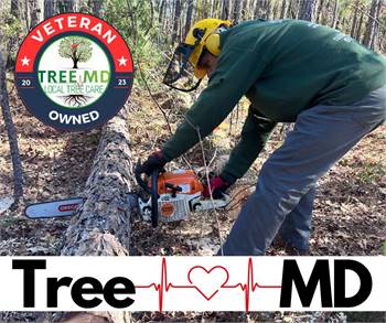 Tree MD