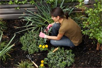 Perry's Lawn Care Service